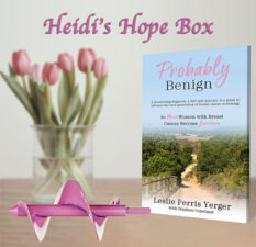 La caja de la esperanza de Heidi