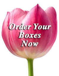 Order Your Boxes Now